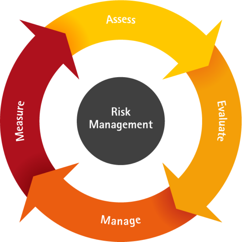 Manage to. Risk Management. Риск-менеджмент. Риск менеджмент иконка. Project risk Management.